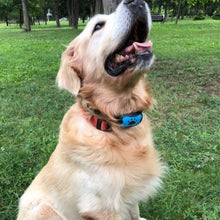 Load image into Gallery viewer, Anti Barking Collar