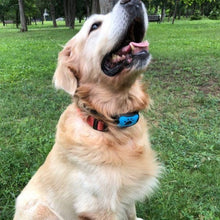 Load image into Gallery viewer, Anti Barking Collar