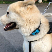 Load image into Gallery viewer, Anti Barking Collar