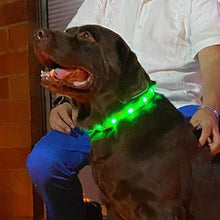 Load image into Gallery viewer, Rechargeble LED Dog Collar