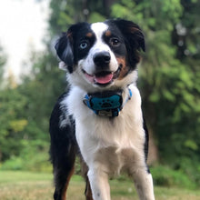 Load image into Gallery viewer, Anti Barking Collar