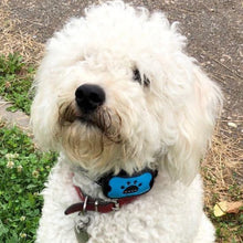 Load image into Gallery viewer, Anti Barking Collar