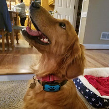 Load image into Gallery viewer, Anti Barking Collar