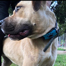 Load image into Gallery viewer, Anti Barking Collar