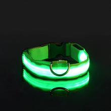 Load image into Gallery viewer, Rechargeble LED Dog Collar