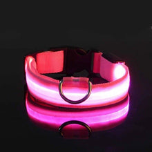 Load image into Gallery viewer, Rechargeble LED Dog Collar