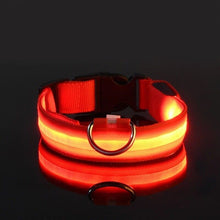 Load image into Gallery viewer, Rechargeble LED Dog Collar