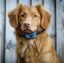 Load image into Gallery viewer, Anti Barking Collar