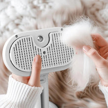Load image into Gallery viewer, 3 in 1 Pet Steam Brush