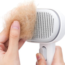 Load image into Gallery viewer, 3 in 1 Pet Steam Brush