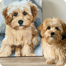 Load image into Gallery viewer, Custom Pet Paint by Numbers Kit