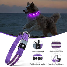 Load image into Gallery viewer, Rechargeble LED Dog Collar