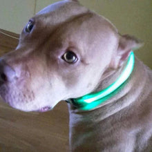 Load image into Gallery viewer, Rechargeble LED Dog Collar
