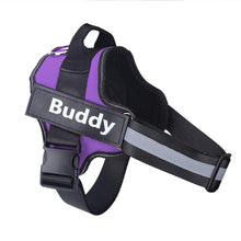 Load image into Gallery viewer, No Pull Personalised Dog Harness