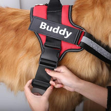 Load image into Gallery viewer, No Pull Personalised Dog Harness