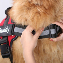 Load image into Gallery viewer, No Pull Personalised Dog Harness