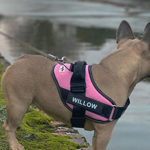 Load image into Gallery viewer, No Pull Personalised Dog Harness