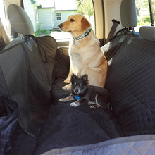 Load image into Gallery viewer, Pet Car Seat Protector + FREE Pet Seat Belt!