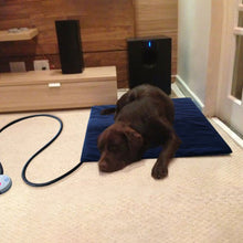 Load image into Gallery viewer, Heated Pet Bed