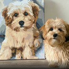 Load image into Gallery viewer, Custom Pet Paint by Numbers Kit

