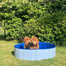 Load image into Gallery viewer, Deluxe Portable Dog Pool
